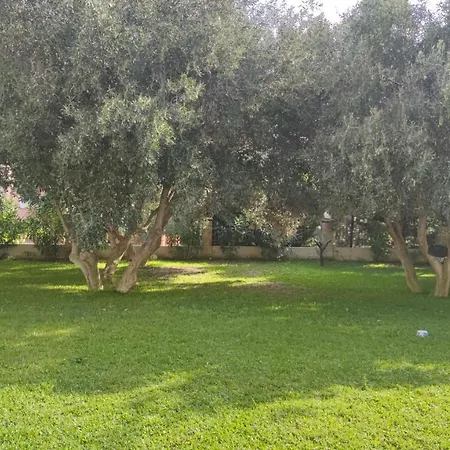 Lägenhet The Olive Garden *