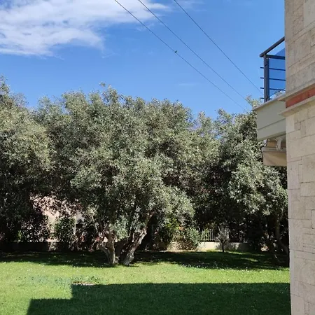 The Olive Garden Apartment Pefkochori