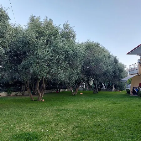 The Olive Garden *
