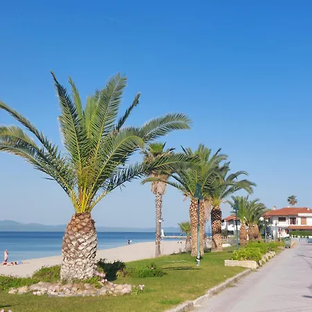 The Olive Garden Apartment Pefkochori