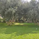 Appartement The Olive Garden *