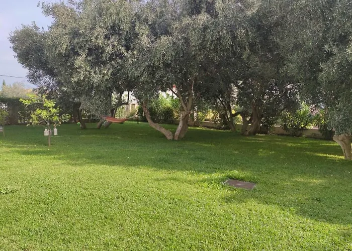 The Olive Garden * Pefkochori