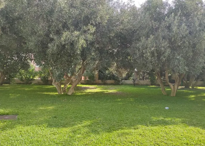 Appartement The Olive Garden *