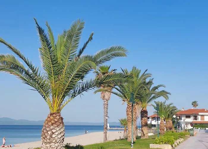 The Olive Garden Appartement Pefkochori